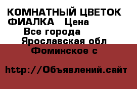 КОМНАТНЫЙ ЦВЕТОК -ФИАЛКА › Цена ­ 1 500 - Все города  »    . Ярославская обл.,Фоминское с.